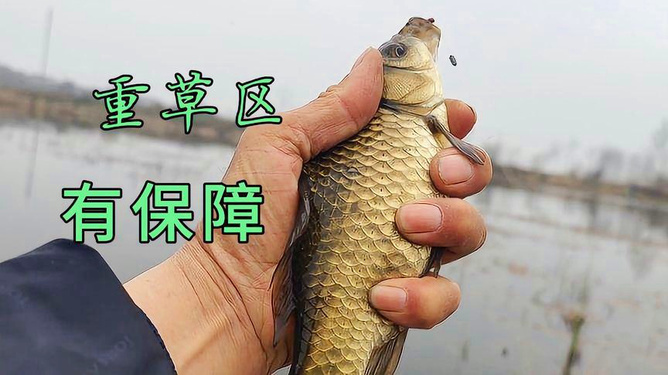 中高档鲫鱼竿，品质卓越，技术精湛